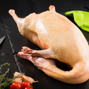 Canard gras entier éviscéré avec foie